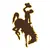 UNIVERSITY OF WYOMING